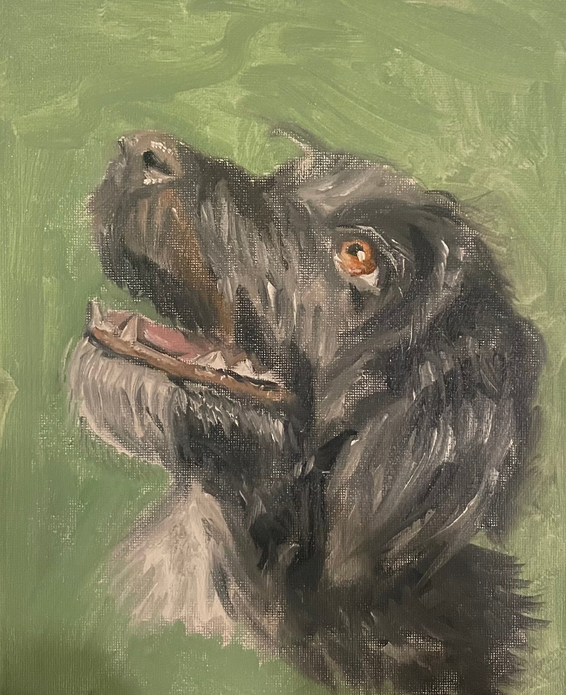 Oil Pet Portrait - 8"x10"