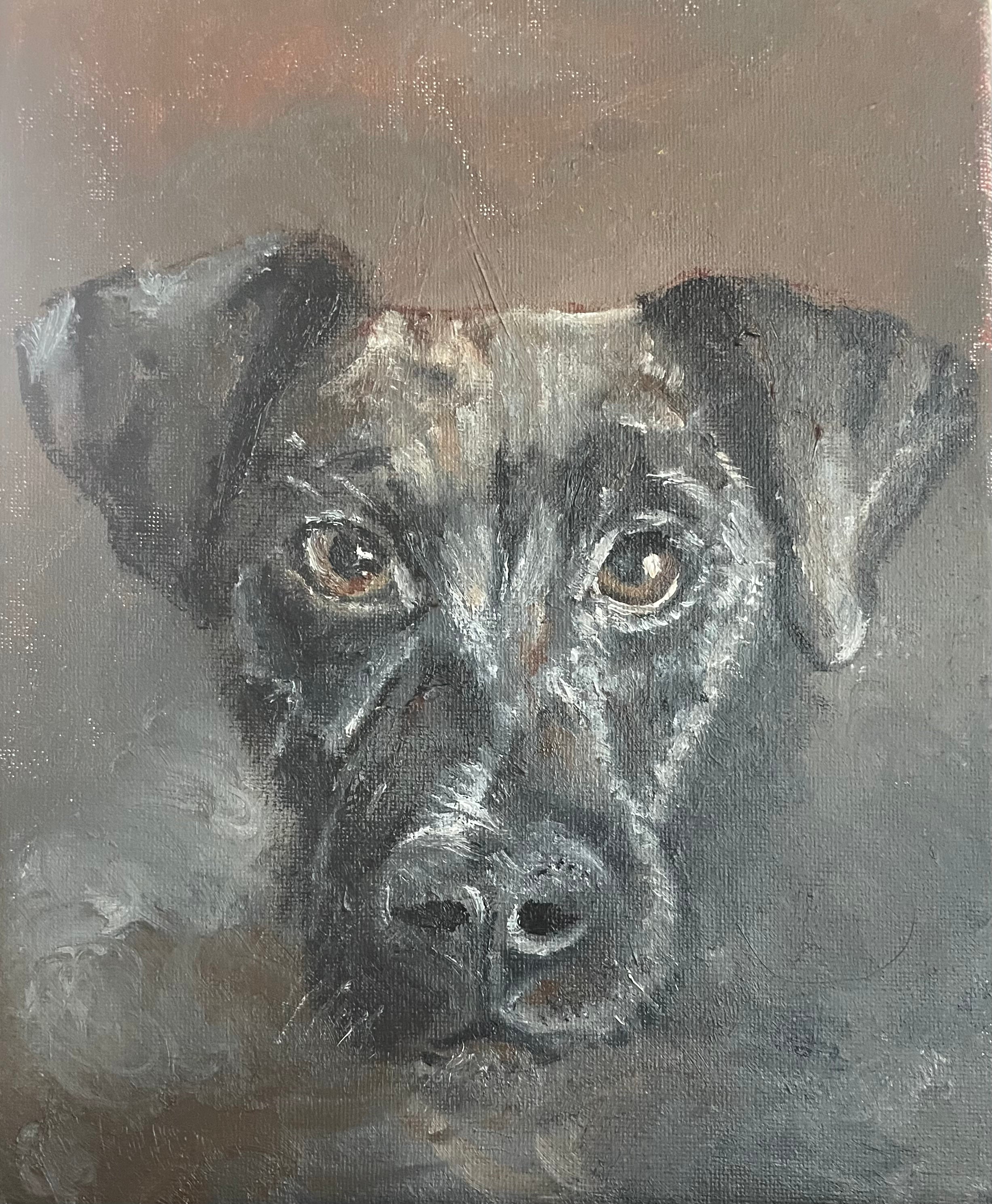 Oil Pet Portraits 9"x12"